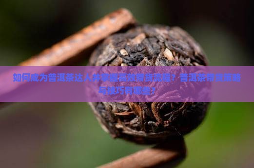 如何成为普洱茶达人并掌握高效带货流程？普洱茶带货策略与技巧有哪些？