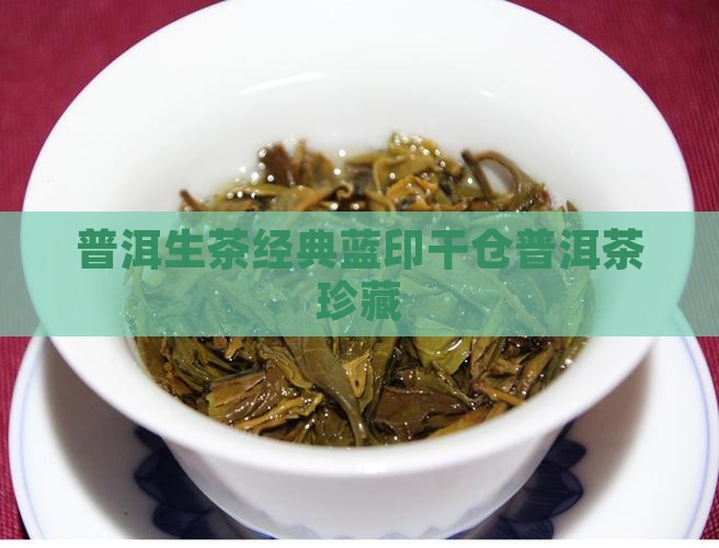 普洱生茶经典蓝印干仓普洱茶珍藏