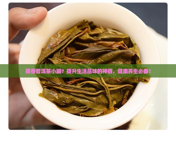 藏香普洱茶小罐？提升生活品味的神器，健康养生必备！