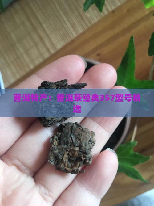 普洱特产：普洱茶经典357型号精选