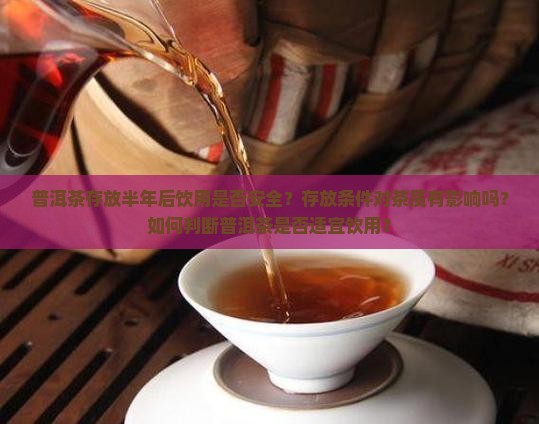 普洱茶存放半年后饮用是否安全？存放条件对茶质有影响吗？如何判断普洱茶是否适宜饮用？