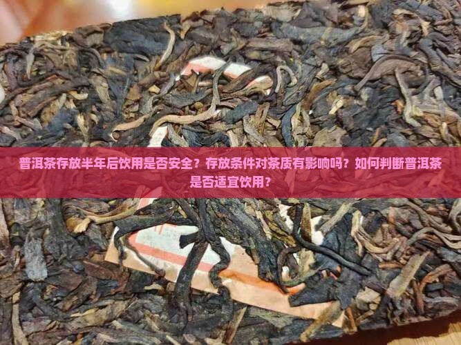 普洱茶存放半年后饮用是否安全？存放条件对茶质有影响吗？如何判断普洱茶是否适宜饮用？