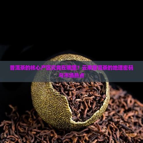 普洱茶的核心产区究竟在哪里？云南普洱茶的地理密码与市场热点