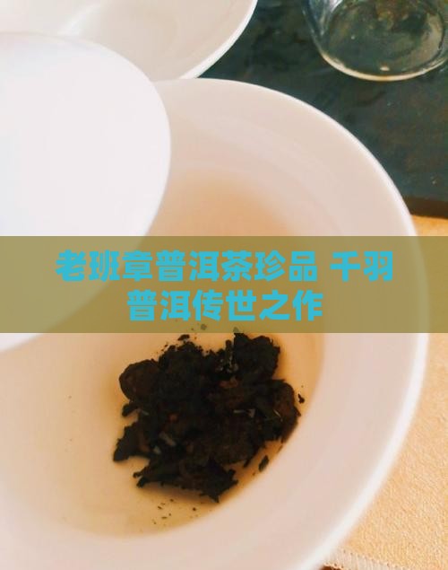老班章普洱茶珍品 千羽普洱传世之作