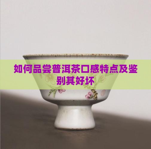 如何品尝普洱茶口感特点及鉴别其好坏