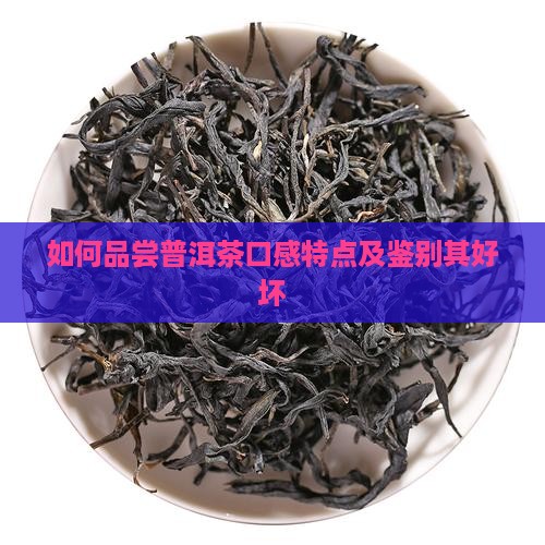 如何品尝普洱茶口感特点及鉴别其好坏