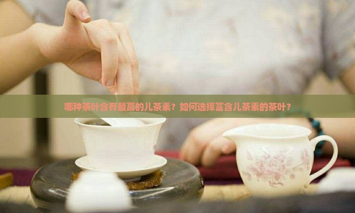 哪种茶叶含有最高的儿茶素？如何选择富含儿茶素的茶叶？