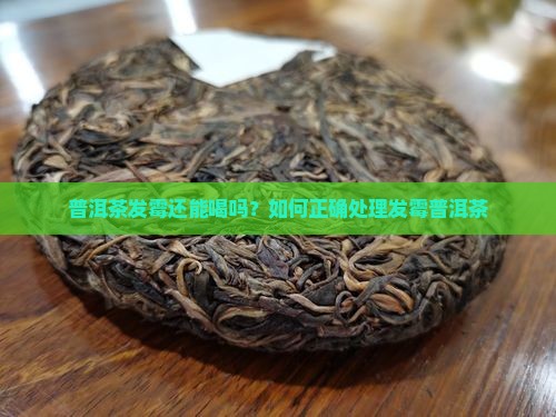 普洱茶发霉还能喝吗？如何正确处理发霉普洱茶