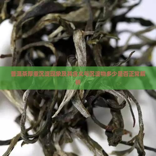 普洱茶厚重沉淀现象及其含义与沉淀物多少是否正常解析