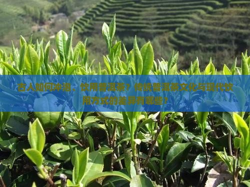 古人如何冲泡、饮用普洱茶?传统普洱茶文化与现代饮用方式的差异有哪些? 古人如何冲泡、饮用普洱茶?传统普洱茶文化与现代饮用方式的差异有哪些?