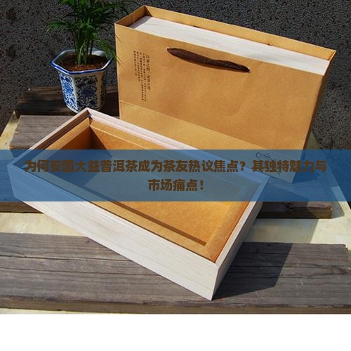 为何安国大益普洱茶成为茶友热议焦点？其独特魅力与市场痛点！