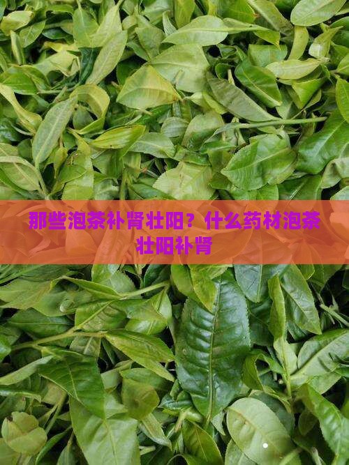那些泡茶补肾壮阳？什么药材泡茶壮阳补肾
