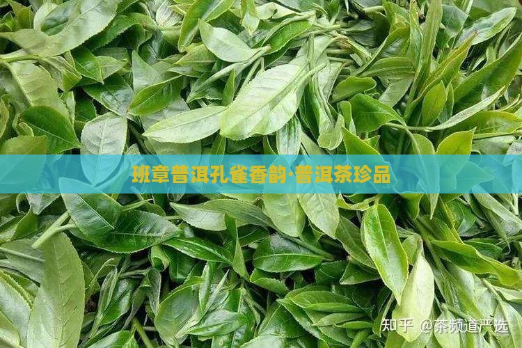 班章普洱孔雀香韵·普洱茶珍品