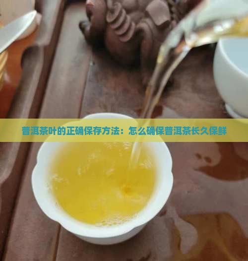 普洱茶叶的正确保存方法：怎么确保普洱茶长久保鲜