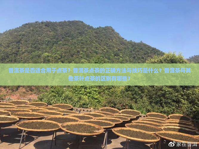 普洱茶是否适合用于点茶？普洱茶点茶的正确方法与技巧是什么？普洱茶与其他茶叶点茶的区别有哪些？