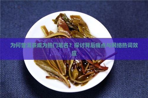 为何普洱茶成为热门笔名？探讨背后痛点与网络热词效应