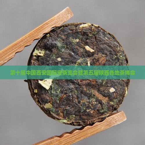 第十届中国西安国际安茶览会暨第五届陕西各地茶博会