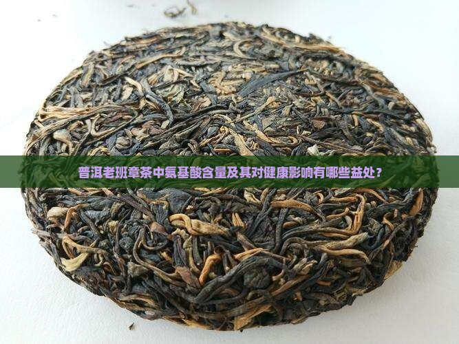 普洱老班章茶中氨基酸含量及其对健康影响有哪些益处？