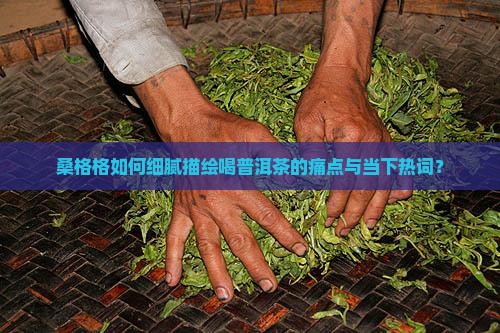 桑格格如何细腻描绘喝普洱茶的痛点与当下热词？