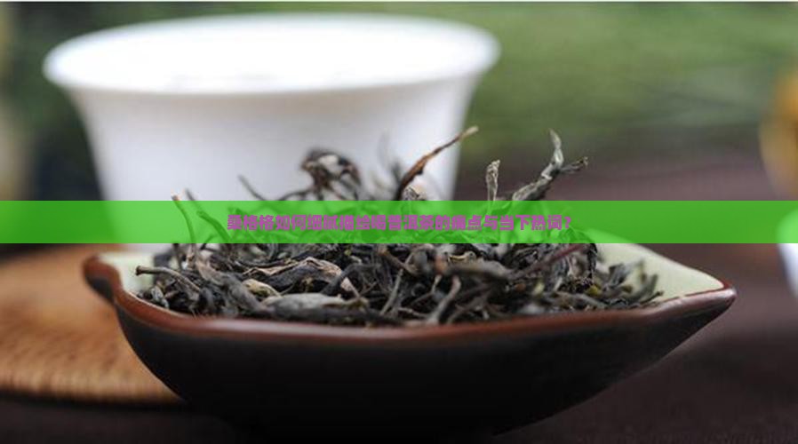 桑格格如何细腻描绘喝普洱茶的痛点与当下热词？