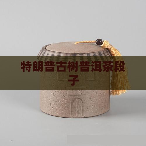 特朗普古树普洱茶段子