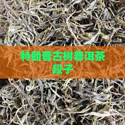 特朗普古树普洱茶段子