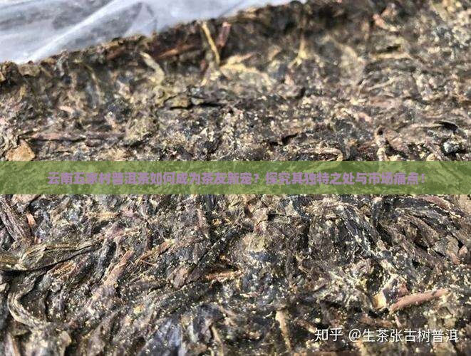 云南五家村普洱茶如何成为茶友新宠？探究其独特之处与市场痛点！