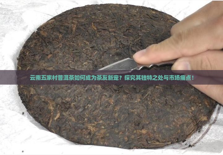 云南五家村普洱茶如何成为茶友新宠？探究其独特之处与市场痛点！
