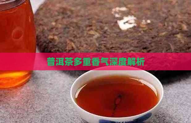 普洱茶多重香气深度解析