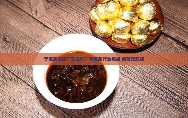 宁洱茶源茶厂怎么样？普洱茶行业痛点+新茶饮趋势
