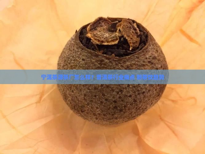 宁洱茶源茶厂怎么样？普洱茶行业痛点+新茶饮趋势