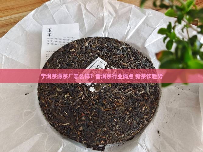 宁洱茶源茶厂怎么样？普洱茶行业痛点+新茶饮趋势