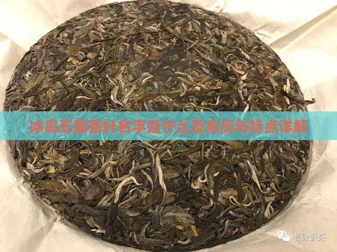 冰岛五寨茶叶名字是什么及来历与特点详解