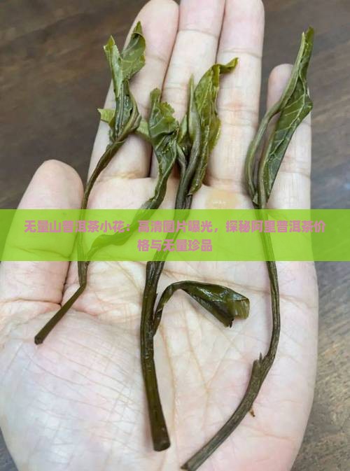 无量山普洱茶小花：高清图片曝光，探秘阿里普洱茶价格与无量珍品