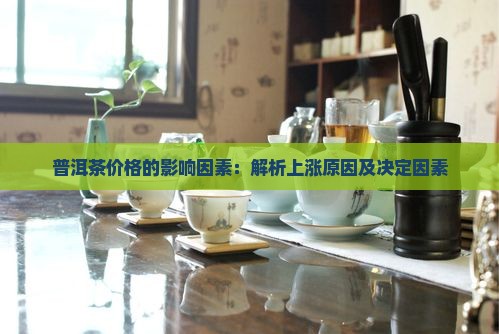 普洱茶价格的影响因素：解析上涨原因及决定因素