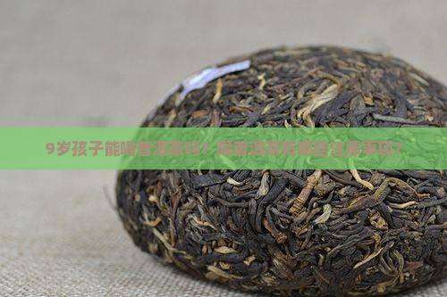9岁孩子能喝普洱茶吗？喝普洱茶有哪些注意事项？