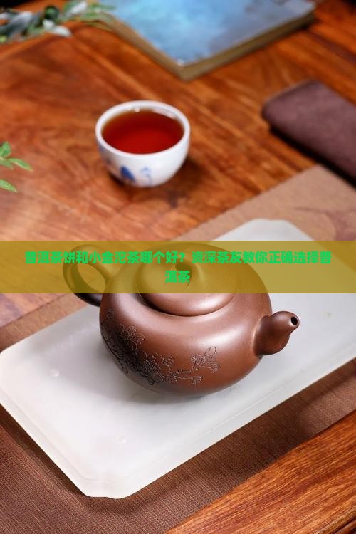 普洱茶饼和小金沱茶哪个好？资深茶友教你正确选择普洱茶
