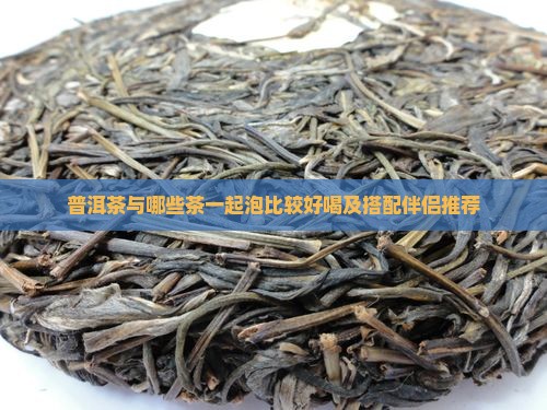 普洱茶与哪些茶一起泡比较好喝及搭配伴侣推荐