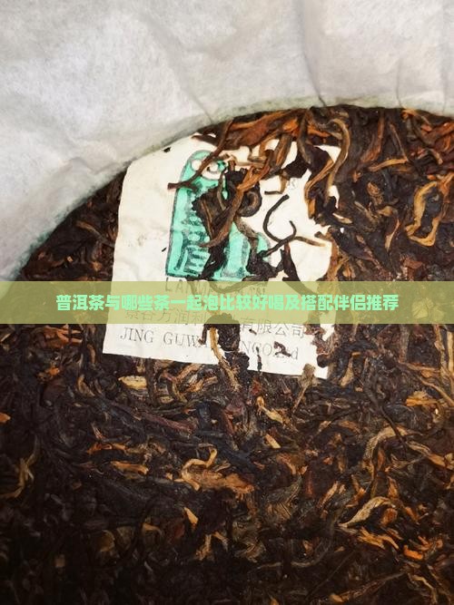 普洱茶与哪些茶一起泡比较好喝及搭配伴侣推荐