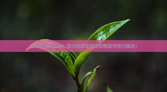 为何茶饼泡不开？探讨传统茶饼泡饮难题与流行痛点！