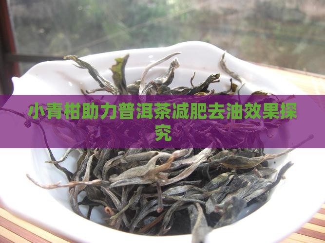 小青柑助力普洱茶减肥去油效果探究