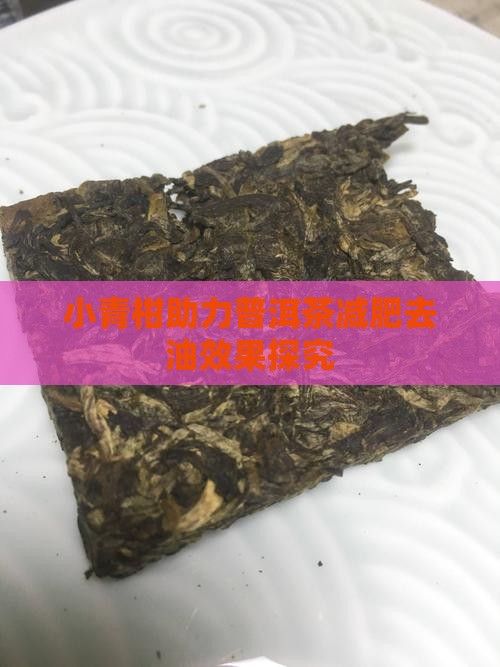 小青柑助力普洱茶减肥去油效果探究