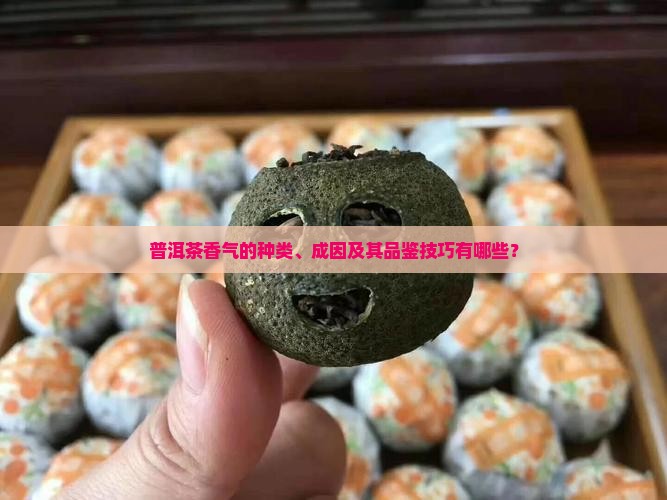 普洱茶香气的种类、成因及其品鉴技巧有哪些？
