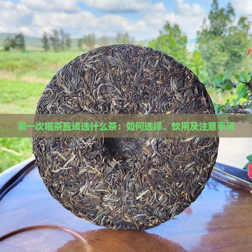 第一次喝茶应该选什么茶：如何选择、饮用及注意事项