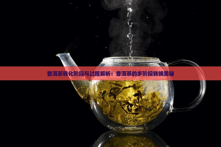 普洱茶转化阶段与过程解析：普洱茶的多阶段转换奥秘