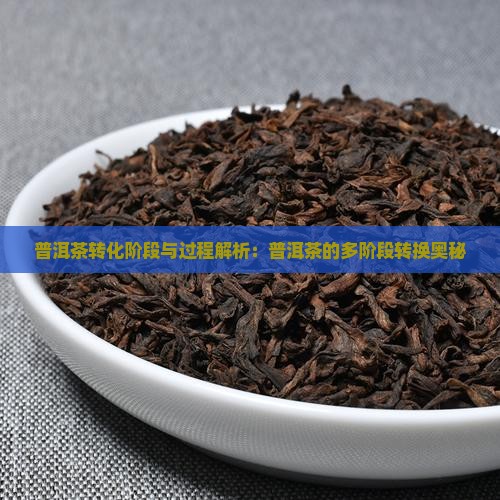 普洱茶转化阶段与过程解析：普洱茶的多阶段转换奥秘