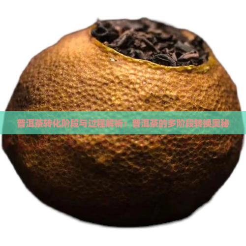 普洱茶转化阶段与过程解析：普洱茶的多阶段转换奥秘
