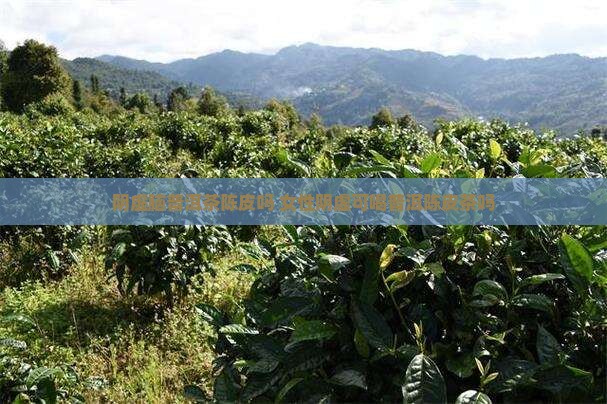阴虚脑普洱茶陈皮吗 女性阴虚可喝普洱陈皮茶吗