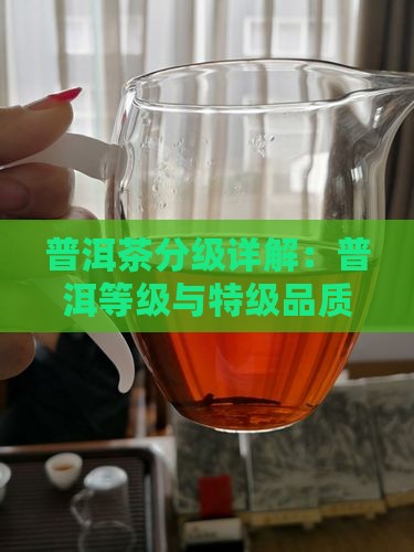 普洱茶分级详解：普洱等级与特级品质解析
