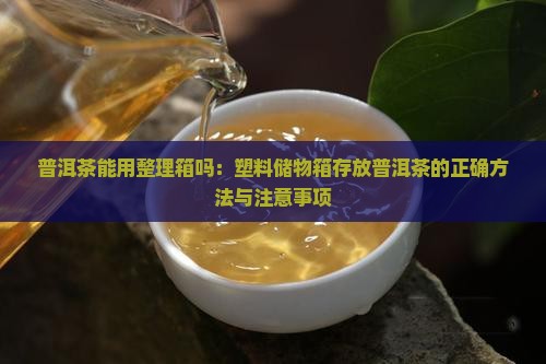 普洱茶能用整理箱吗：塑料储物箱存放普洱茶的正确方法与注意事项